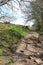 A rocky footpath through the trees and fields