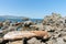 Rocky foreshore at Breaker Bay at entrance to Wellington Harbo