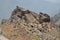 Rocky Formation On The Summit With A Heart Of Stones To Your Left In The Caldera De Taburiente National Park. Travel, Nature,