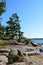 Rocky Georgian Bay Shoreline & Windswept Pines