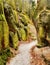 Rocky Gorge Trail
