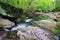 Rocky Green Mountain Landscape Oasis Stream