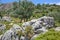 The rocky and green vegetation beautiful view near Farelya Village.