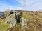 The rocky gritstone outcrops along Curbar Edge