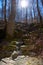 Rocky gully walk path trail through hardwood forest