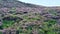 Rocky hill covered with wildflowers