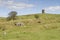 Rocky hills with Solomons Temple or Grinlow Tower in Buxton, Derbyshire Peak District