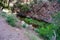 Rocky hillside framing small Colorado scene