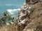 Rocky Hillside Looking Down to Ocean