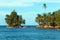 Rocky islet covered by tropical vegetation