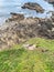 Rocky, jagged coast of Achill Island