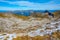 Rocky landscape alongside Schynige Platte-First hiking track in