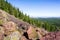 Rocky landscape with evergreen forests in the background, Siskiyou County, Northern California