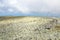 Rocky landscape on the plateau. Field River from stones