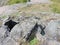 Rocky landscape, Suomenlinna, Helsinki