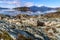 Rocky landscapes of Beagle channel at Terra Del Fuego National P