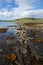 Rocky loch shore-line Orkney Scotland