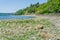 Rocky Low Tide Shoreline 2