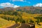 Rocky mountain aspen forests on Pike\\\'s Peak in Colorado