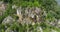 Rocky mountain cliffs with eroded stone surface in Blue Ridge Mountains near Chimney Rock State Park. Aerial view of