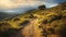 Rocky Mountain Path At Sunset: A Stunning Uhd Image In The Style Of Elba Damast