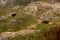 Rocky Mountain plateau with trees and lakes