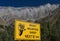 Rocky Mountain Sheep Sign