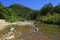 Rocky Mountain Stream