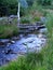 Rocky mountain stream with fallen logs