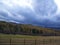 Rocky mountain tamaraks in fall storm building