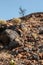 Rocky mountain terrain in Wadi bani Awf, Oman