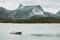 Rocky Mountains and fishing boat sea wild Landscape in Norway scandinavian