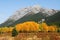 Rocky mountains and forests