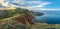 Rocky mountains off the coast of the sea. Panorama of the Crimean mountains.