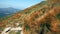 Rocky mountains, picturesque panorama, waving grass and rocks