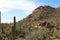 Rocky mountainside covered with Saguaro Cacti, Ocotillo and Creosote bushes in Saguaro National park, Arizona