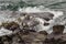 Rocky ocean shore with kelp
