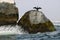 Rocky outcrop with neotropical cormorant drying its wings