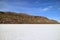 The Rocky Outcrop on Uyuni Salt Flats Kmown as Isla del Pescado or Isla Incahuasi with Uncountable Giant Cactus Plants, Bolivia