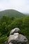 Rocky Outcropping Above Thick Forest