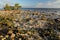 Rocky Outcroppings in the Florida Keys