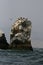 Rocky outcrops with Peruvian booby birds in Peru