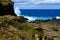 Rocky Pacific Ocean seashore with flowers at Kiama Australia