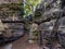 Rocky passage with mosses, ferns and two iron ladders, Saxony, Germany