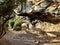 Rocky path in African coastal bush with overhang