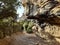 Rocky path in African coastal bush with overhang