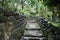 Rocky pathway on a rainy day at Jeju Island, South Korea