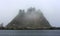 Rocky peak with fir trees in fog, La Push beach