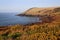 Rocky Pembrokeshire Coastline above yellow Gorse