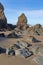 Rocky Pinnacles on a Sandy Beach
